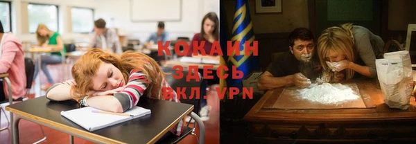 крисы Алзамай
