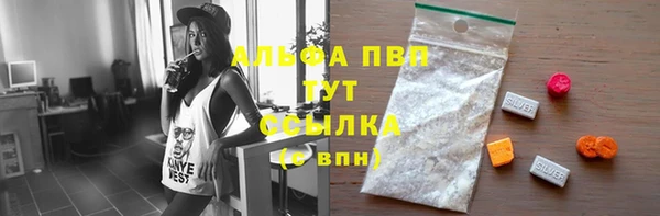 крисы Алзамай