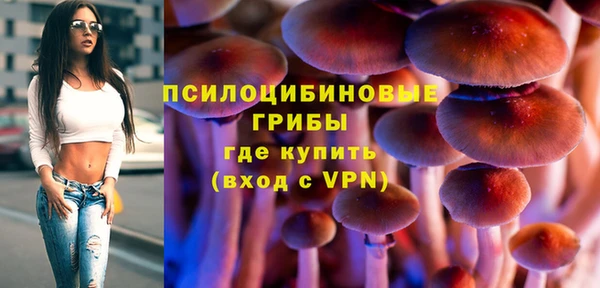крисы Алзамай