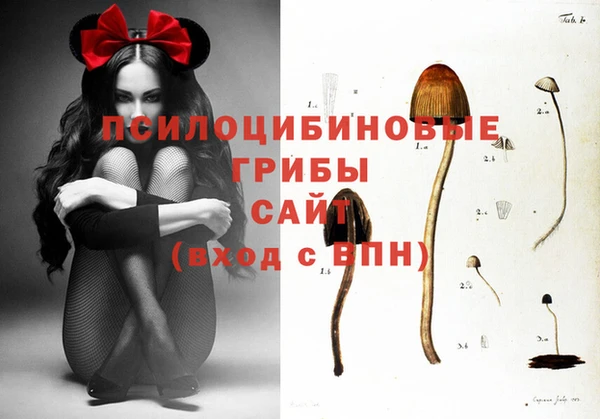 крисы Алзамай