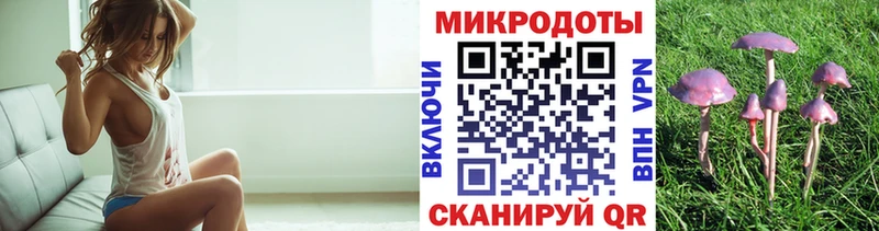 как найти   Краснознаменск  Галлюциногенные грибы мицелий 
