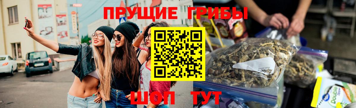 закладки  Вход с VPN  Краснознаменск  Галлюциногенные грибы мухоморы 